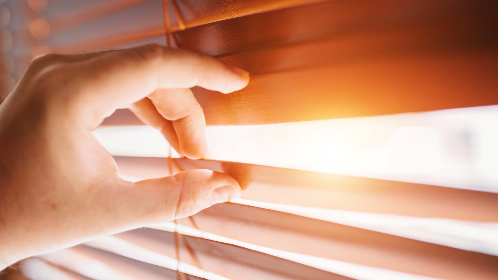 rolladen_jalousie_sonne