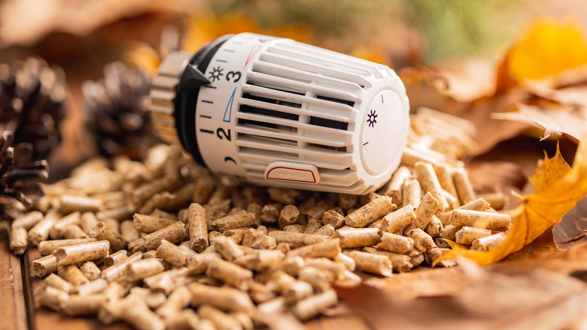 heizungsknopf_auf-pellets