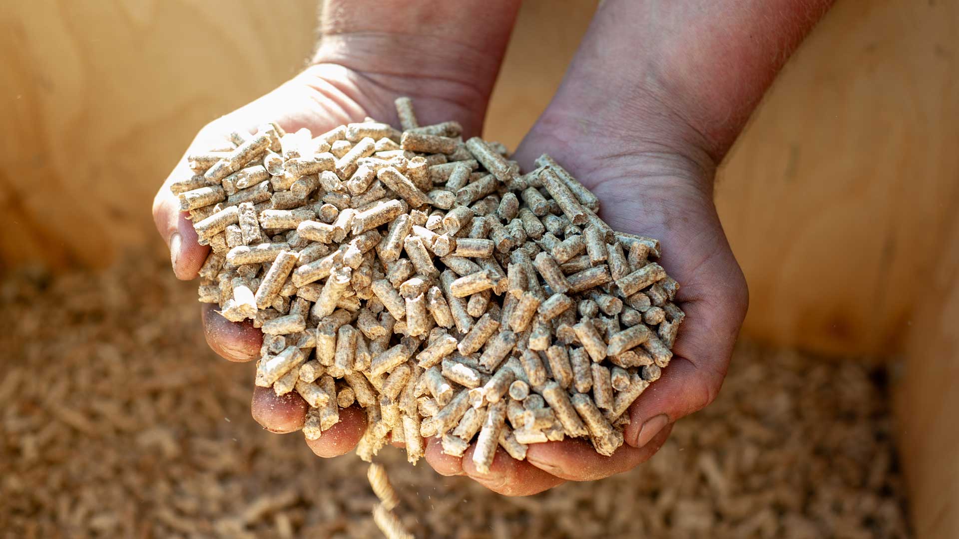 holzpellets_in_hand