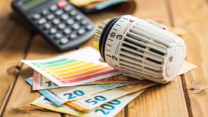 thermostat_und_euros