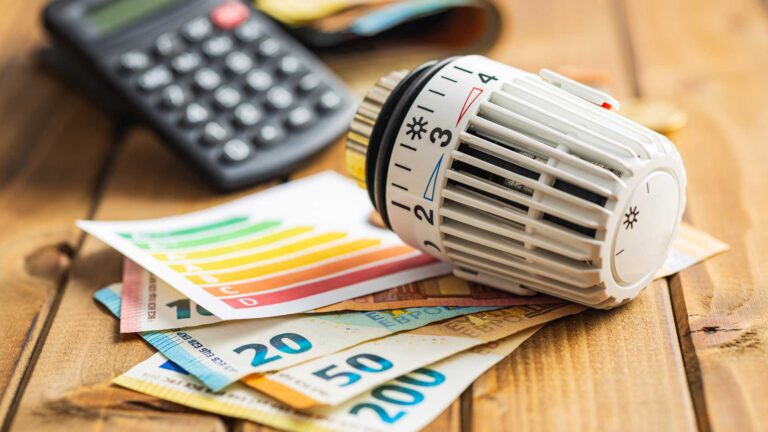 thermostat_und_euros