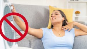 Kuehlen_mit_ventilator